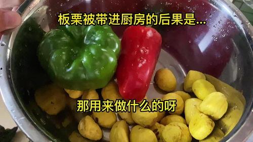 娱乐吃瓜酱做核酸